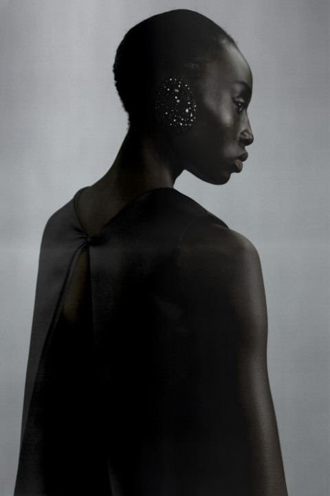 Image illustrating ASHI