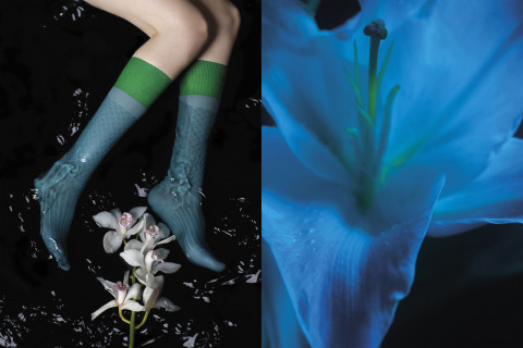 Image illustrating Cap