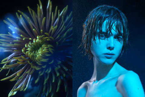 Image illustrating Cap