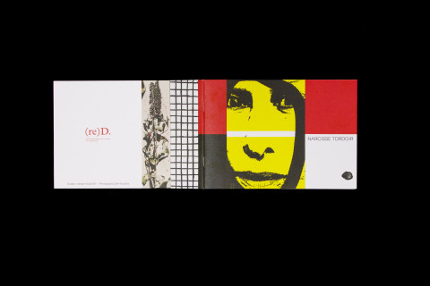 Image illustrating Narcisse Tordoir