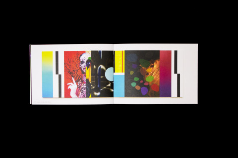 Image illustrating Narcisse Tordoir