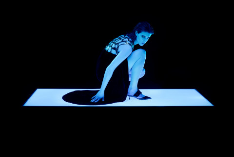 Image illustrating Roger Vivier