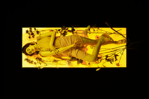 Image illustrating Roger Vivier