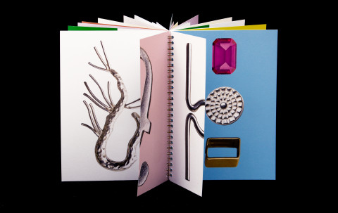 Image illustrating Wouters & Hendrix